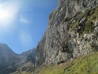 Le pareti dell'Arapietra